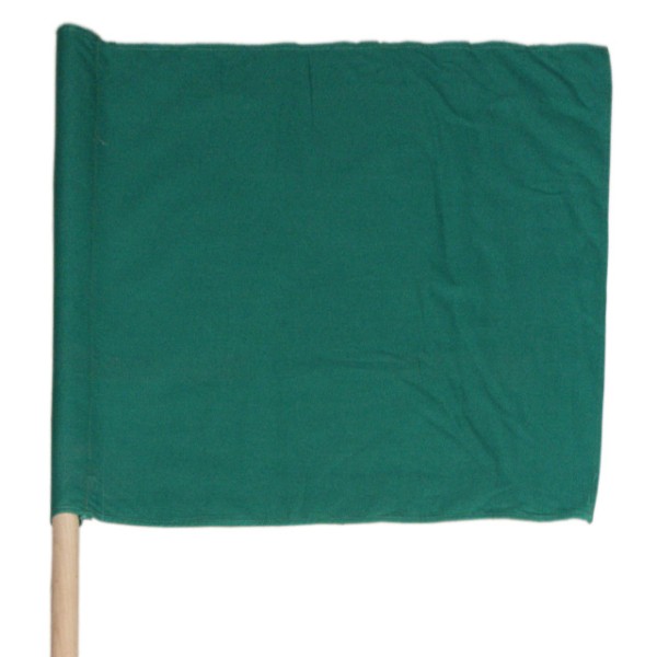Warnflagge grün